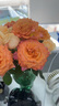 京东鲜花 云南单头玫瑰 橙色系【自由精灵】火灵鸟 5枝 实拍图