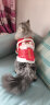 华元宠具（hoopet）猫咪衣服过年喜庆唐装猫猫冬季保暖衣小猫衣服新年拜年舞狮服装 恭喜发财舞狮唐装 M：根据图片尺寸选择 实拍图