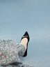 达芙妮（DAPHNE）单鞋女春低跟船鞋2023夏季新款学生尖头百搭一脚蹬工作宴会鞋 黑色 跟高3cm 36 标准码 晒单实拍图