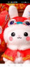 欣雅妮兔年吉祥物2023年福运生肖毛绒玩具公司年会礼品采购玩偶公仔 红色唐装25cm（高度不包含耳朵） 实拍图