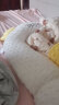 新安代婴儿床中床新生儿0-3岁防惊跳床 睡觉可移动便携式婴儿床防吐奶床 晒单实拍图