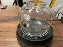 鑫璟仁  玻璃煮茶壶加厚养生壶花茶蒸煮茶壶烧水壶电陶炉煮茶器茶具送礼 富甲锦鲤南瓜壶700ml 实拍图
