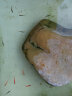 云峰海瑞热带鱼 观赏鱼 观赏鱼小型 斑马鱼 活体 热带鱼活体 小型鱼 活鱼 红斑马、蓝斑马（共30条） 实拍图