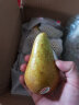 都乐Dole 比利时进口啤梨2.5kg 单果130g+ 生鲜水果梨 晒单实拍图