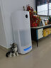 美的（Midea）空气净化器 宠物款猫毛净化器除菌过滤浮毛除异味过敏原除尘螨甲醛 宠物专用家用 【多宠适用】除臭杀菌吸浮毛 实拍图