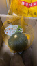 家美舒达山东 惠和一号 贝贝南瓜 1.5kg 板栗小南瓜 新鲜蔬菜 实拍图