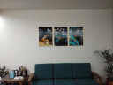 瑞尚（RUISHANG） 遮挡电表箱装饰画配电箱可推拉壁画客厅挂画有框电源箱开关盒 日照金山 50*40可覆盖（横40竖30）晶瓷面 实拍图