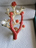 艳豪天然珊瑚baby珠链叠带锁骨链红色沙丁圆珠项链精致时尚百搭项链 精品珊瑚baby珠锁骨项链 3-3.5mm(样图尺寸） 晒单实拍图