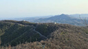 佳能/Canon 600D 700D 750D 760D 800D 850D二手单反相机新手学生入门旅游高清相机 750D+18-135 IS STM【套机】 准新 实拍图