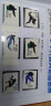 【邮天下】1980年-1999北方年册 集邮年册 邮票年册 1982年北方集邮票年册 实拍图