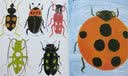 麦田精选图画书 点点虫 ［日］阿部弘士 3-6岁 科学认知（昆虫） 生命教育 艺术认知  实拍图