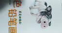 艺泽美术系列：彩色铅笔画 萌宠动物绘 实拍图