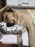 霍尔顿狗粮 宠物通用型犬通用天然狗粮 金毛拉布拉多泰迪 成犬20kg（5kg*4） 实拍图