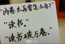 高瞻课程关键发展指标与支持性教学策略丛书（京东套装，共8册） 实拍图