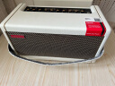 Positive Grid音箱Spark Mini 40 GO电吉他充电便携蓝牙内录带效果器音响 Spark40 白色40瓦+原装音箱包 晒单实拍图