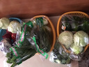 东升供港油麦菜300g 长叶莴苣 长生菜 炒菜 广州新鲜配送 实拍图