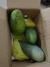 集年鲜攀枝花凯特芒果当季热带甜心多汁 新鲜水生鲜果整箱节日送礼 净重4.5斤精品选（单果300克起） 实拍图