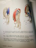 精准瑜伽解剖书1+2（流瑜伽及站姿体式+身体前弯及髋关节伸展体式）共2册 实拍图