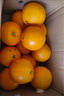 京觅赣南脐橙新鲜水果生鲜甜橙子 4.5斤净重单果约150g+ 源头直发 实拍图