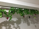 正八 假花藤条仿真葡萄叶装饰藤条树叶绿植物壁挂管道遮挡屋吊顶藤蔓 20片大葡萄叶 12条装 实拍图