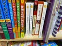 巴黎圣母院（新版全译插图本）/译林名著精选 实拍图