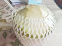 展卉泰国进口椰青椰子超大果开椰器和吸管孕妇新鲜水果生鲜天然电解质 泰国椰青均重800g+ 椰青9个装（普通开椰器） 实拍图