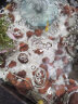 HANYANG白玉石1kg水草鱼缸造景底砂小石头子龟缸水族养鱼多肉装饰化妆沙 实拍图