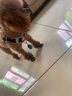 拉维佩特狗牵引绳胸背带遛狗绳小型犬狗绳背心式狗背带泰迪比熊牵引绳幼犬 黑色 XXS【建议4-7斤】 实拍图