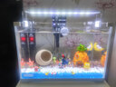 森森（SUNSUN）鱼缸水族箱超白玻璃水草缸造景桌面缸 超白350标配(含灯 水泵 超白鱼缸) 实拍图