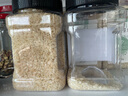 甸禾有机胚芽米450g（当季新米 独立罐装 留胚率≥90% 营养米粥） 实拍图