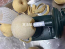 拜杰多功能削苹果机削苹果神器水果削皮器手摇式自动削皮刀水果分切器 【三代升级款】墨绿削皮机 实拍图