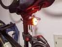 CAVALRY自行车智能感应刹车尾灯山地车公路车夜骑尾灯 USB充电高亮爆闪尾灯骑行装备 坐杆款 实拍图