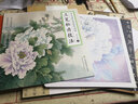养心斋经典临摹画谱 工笔牡丹技法 实拍图