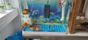 YEE鱼缸水泵底吸潜水泵水族箱家用轻音底滤水泵抽水泵循环泵过滤器 【防干烧30W】2米牛筋管 实拍图