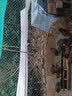 源兴（YUANXING）货车篷布超轻耐磨防水布防雨布户外遮阳遮雨棚布帆布篷布塑料布 2米*3米 实拍图