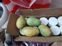 梅珍 广西新鲜芒果 时令应季鲜果芒果新鲜水果 2斤(尝鲜) 晒单实拍图