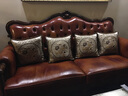 彩润欧式抱枕沙发靠垫方形靠枕套不含芯客厅奢华汽车腰枕套床头靠背垫 国色天香－咖色 48X48CM （仅外套） 实拍图