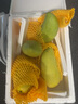 果恋汇（GUOLIANHUI）海南三亚金煌芒新特大芒果新鲜水果当季超大金黄芒整箱批发顺丰 10斤特大果4-6个 实拍图