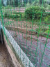 界图铁丝网围栏防护网养殖网荷兰网牛栏网隔离网养鸡鸭鹅铁网包塑栅栏 2.5毫米粗*1.5米高*30米6CM孔 晒单实拍图