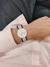 丹尼尔惠灵顿（DanielWellington）DW表带18mm尼龙银色针扣女款DW00200050（适用于36mm表盘系列） 实拍图