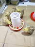 耐尔尼 新型鸡料桶 料槽 食槽 鸡料筒 小鸡喂食器鸡鸭鹅鸽子养鸡设备 晒单实拍图