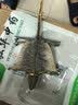 蛤蚧一对带头足（2只）蛤蚧精制中药材 gejie进口哈蚧补肺益肾纳气定喘助阳益精 泡酒中药材店铺 一对/两只（中号肩宽约13-14cm） 实拍图