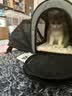 petsfit宠适猫包便携外出大容量猫咪背包透气宠物包斜挎包狗出行包可折叠 雪花灰【单拓展】 S【10斤内40*25*30cm】 实拍图