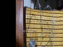 源兴（YUANXING）围墙防盗防爬带刺铁丝网围栏网热镀锌铁蒺藜刺绳刺丝安全防护栏网 实拍图