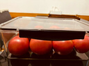 uabc加厚食物保鲜盒食品级冰箱收纳盒厨房蔬菜水果鸡蛋储物盒带盖 5600ml【食品级材质丨严实密封】 黑色【实际容量只多不少】 实拍图