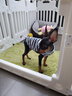 ISPET狗狗衣服宠物泰迪猫咪衣服金毛大中小型犬薄款四季通用&新疆棉 红色-部分码数升级两袖 S 建议2-4斤 实拍图