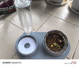 hoopet猫碗双碗不锈钢狗狗碗宠物猫粮食盆自动饮水器水碗喂食器陶瓷用品 【不锈钢款】雾霾灰蓝 实拍图