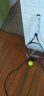 天龙（Teloon）网球拍初学大学生选修男女单双人训练带线套装 SENSUS XVII 初级网拍初学套装 实拍图