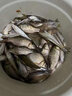 川泽罗非芦苇鱼漂高灵敏短脚细长身轻口猾口底钓醒目鲫鱼黑坑鱼漂 LC01-2(浅水鲫鱼,吃铅1.16g ) 高灵敏陈年芦苇 实拍图