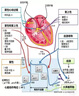 心理学入门三部曲：画心+谁在掌控你的人生+心理咨询师成长之路（套装共3册） 实拍图